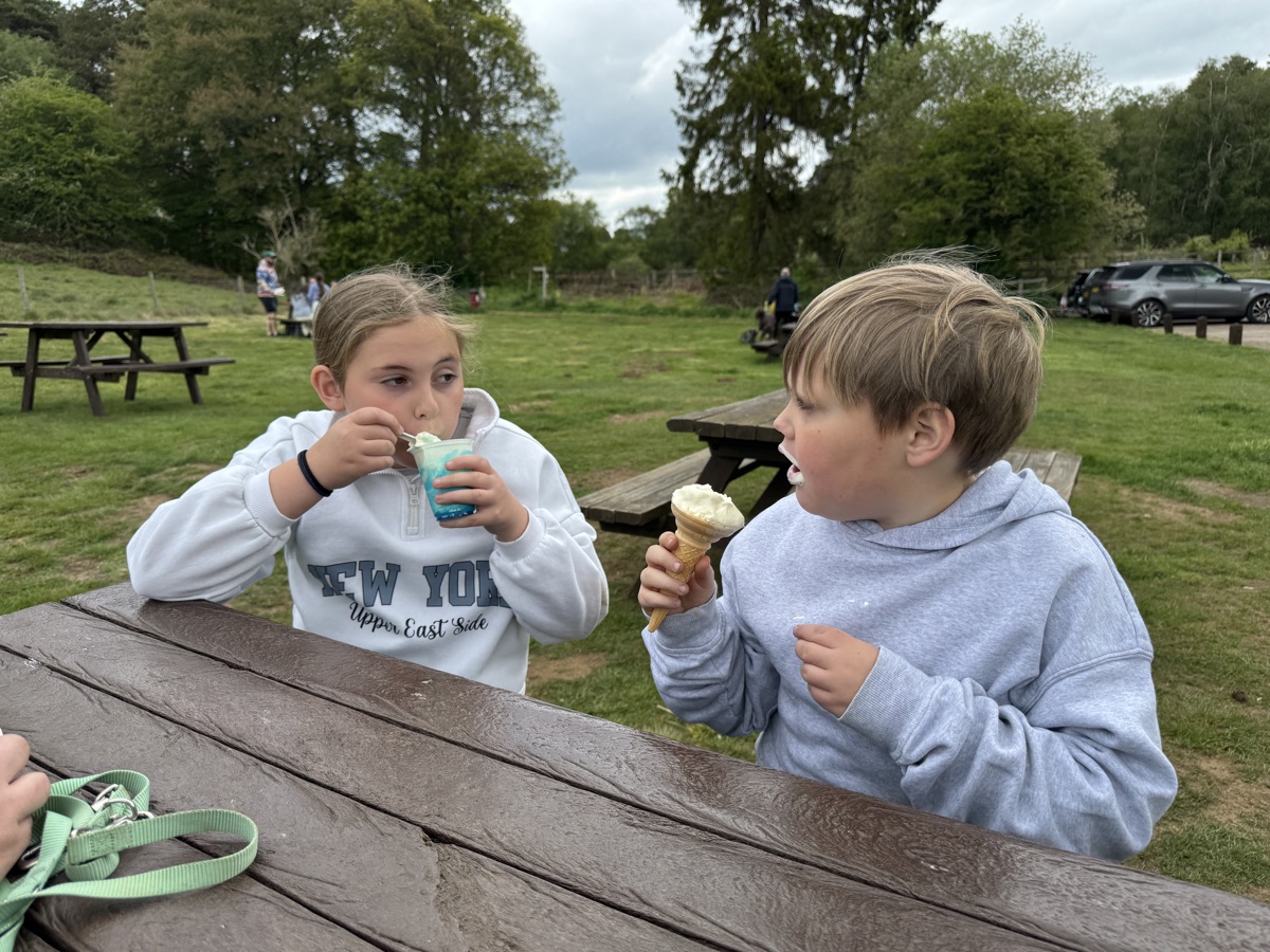 Logan and Rosie eating ice cream together at a picnic table.